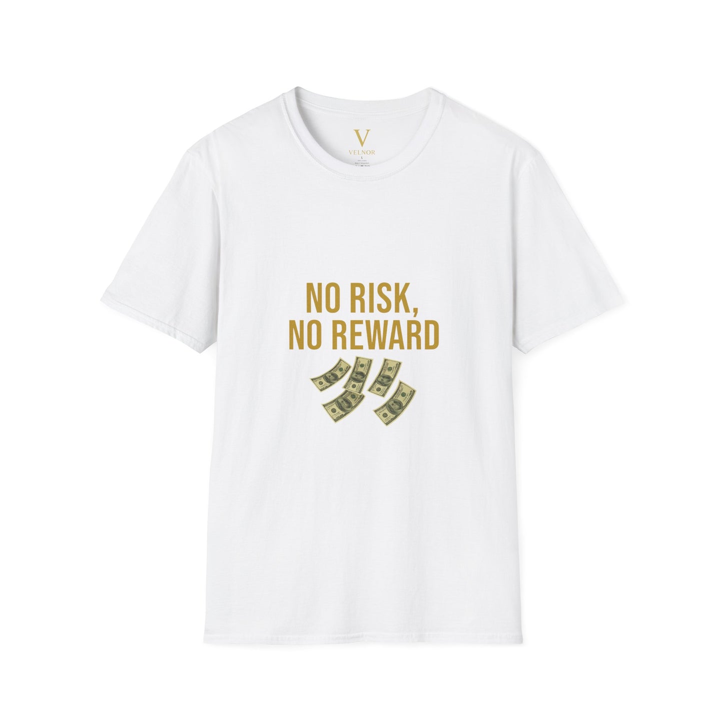 No Risk, No Reward T-Shirt, Motivational Tee, Funny Quote Shirt, Casual Wear, Gift for Entrepreneurs