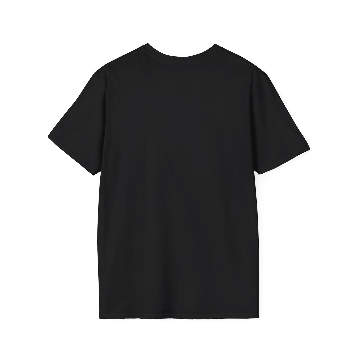 No Risk, No Reward T-Shirt, Motivational Tee, Funny Quote Shirt, Casual Wear, Gift for Entrepreneurs