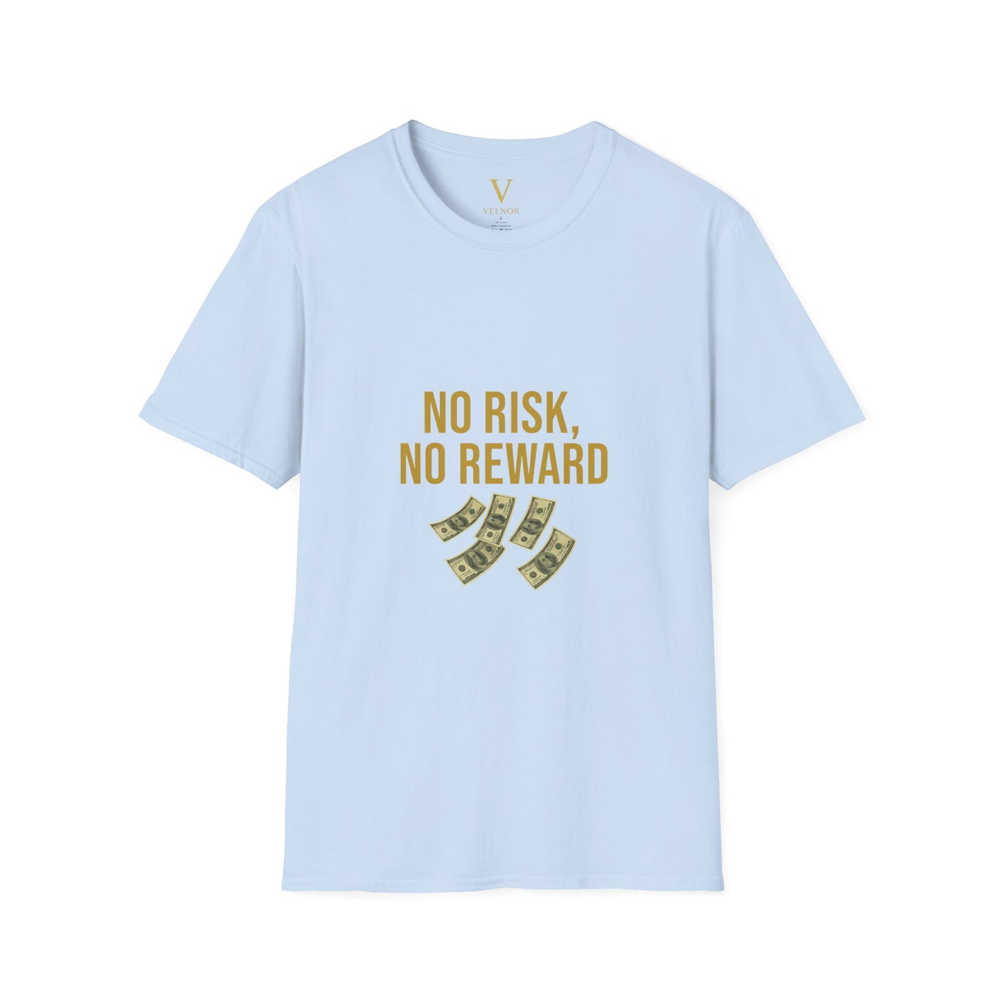 No Risk, No Reward T-Shirt, Motivational Tee, Funny Quote Shirt, Casual Wear, Gift for Entrepreneurs