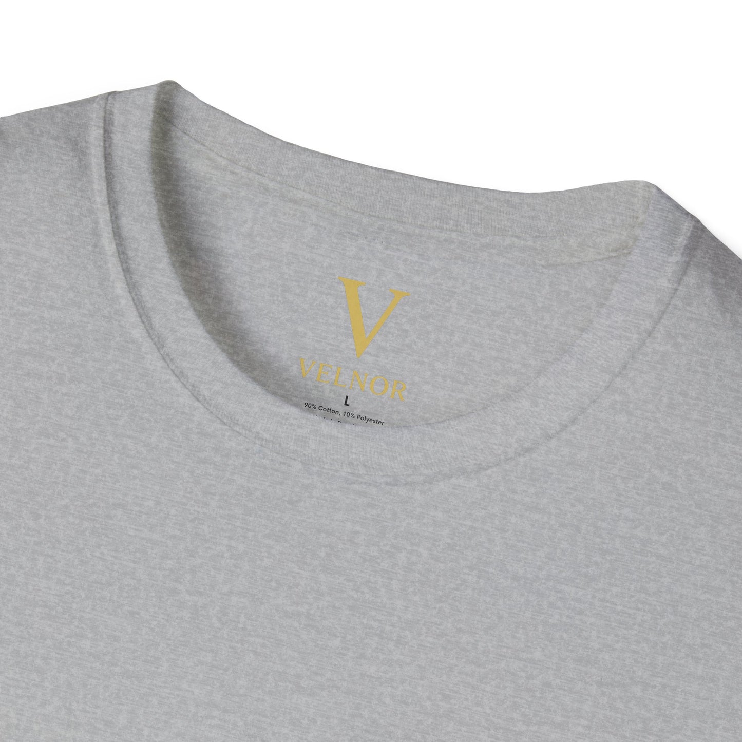 No Risk, No Reward T-Shirt, Motivational Tee, Funny Quote Shirt, Casual Wear, Gift for Entrepreneurs